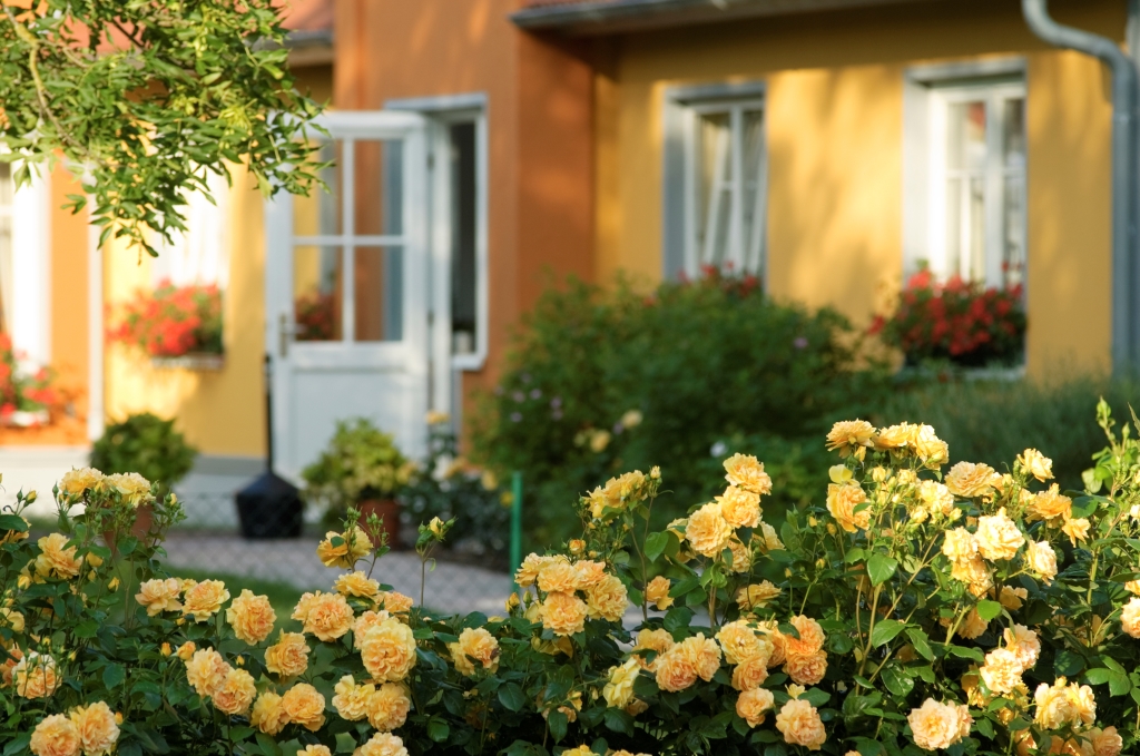 mortgage lender san ramon
